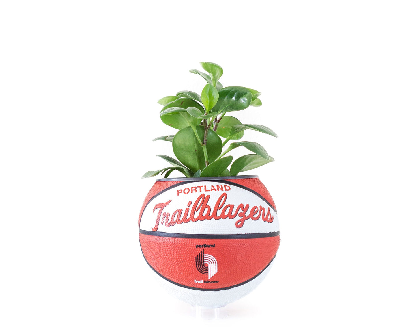 plntrs - Wilson Portland Trailblazers Hardcourt Classic Mini Basketball Planter - new ball with stand