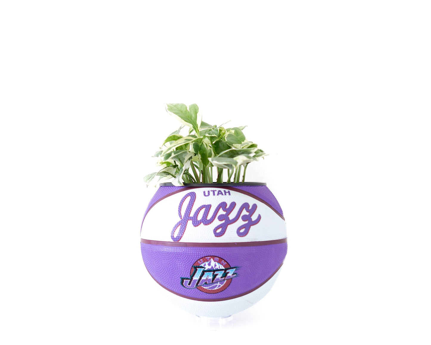 plntrs - Wilson Utah Jazz Hardcourt Classic Mini Basketball Planter - new ball with stand