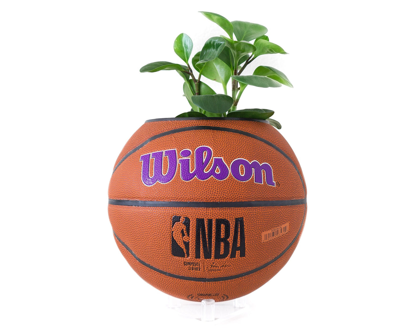 plntrs - NBA Wilson Los Angeles Lakers Team Alliance Basketball Planter - new ball with stand