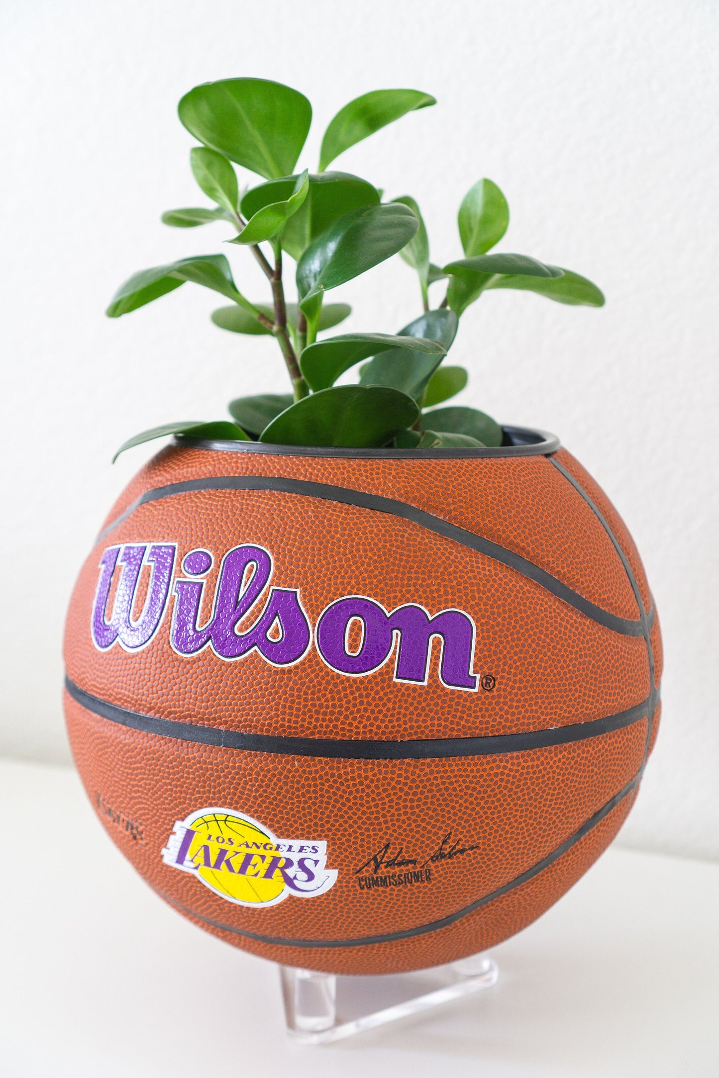 plntrs - NBA Wilson Los Angeles Lakers Team Alliance Basketball Planter - new ball with stand