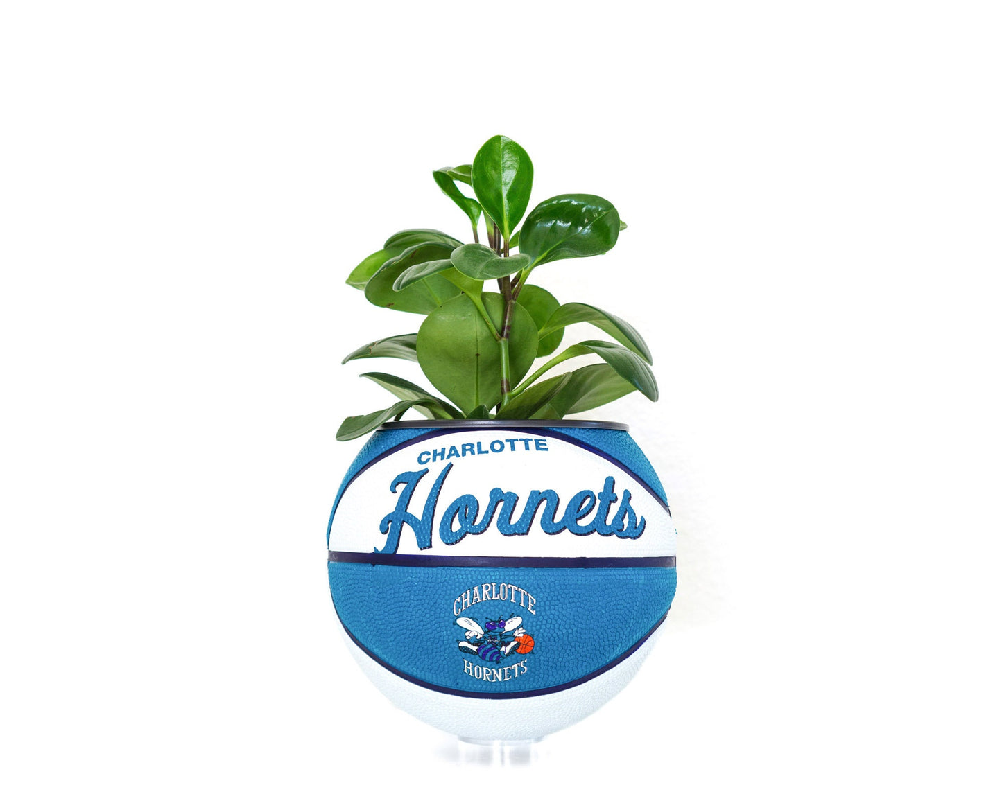 plntrs - Wilson Charlotte Hornets Hardcourt Classic Mini Basketball Planter - new ball with stand