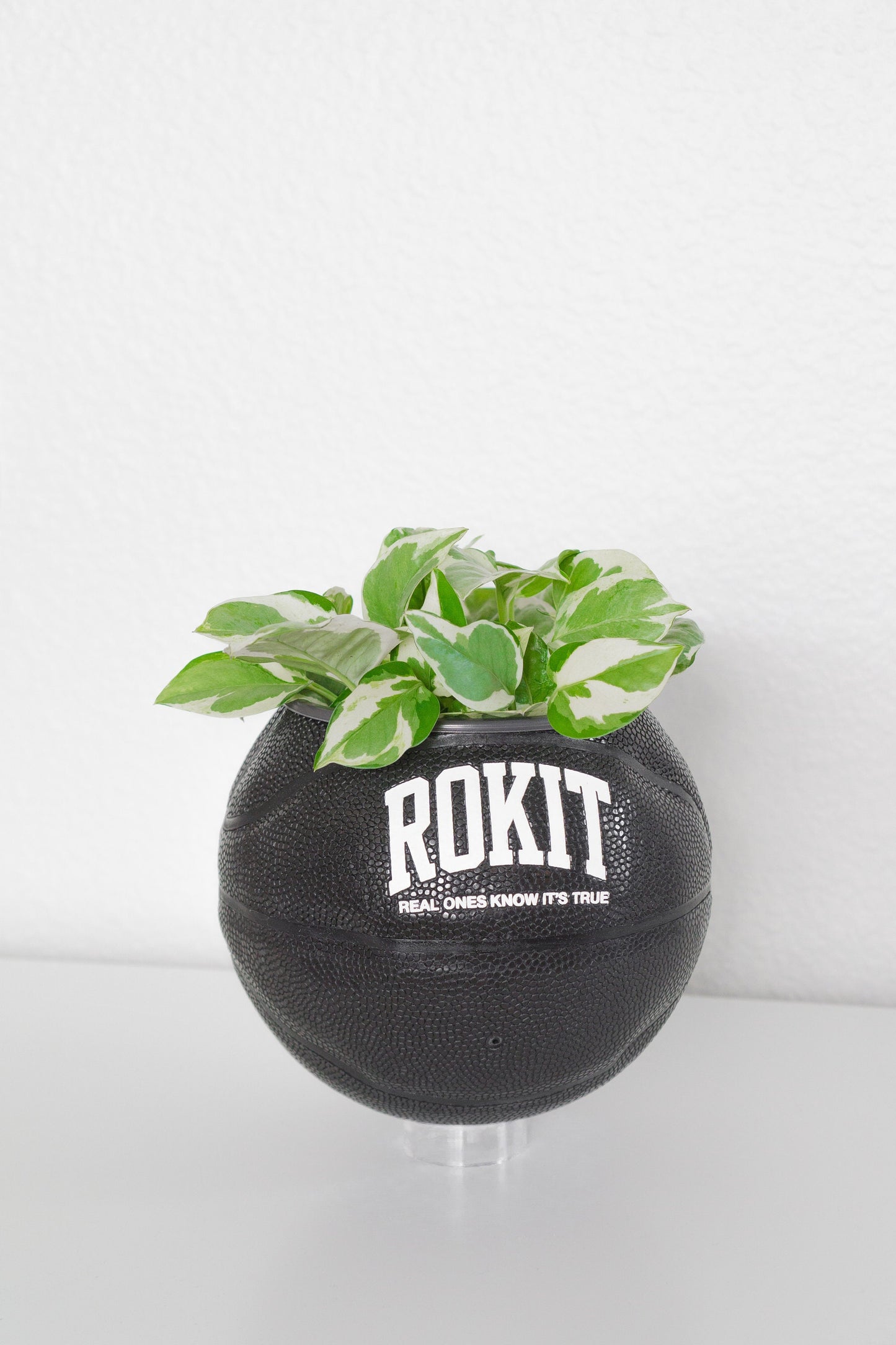 plntrs - ROKIT 8 Ball Mini Basketball Planter - new ball with stand