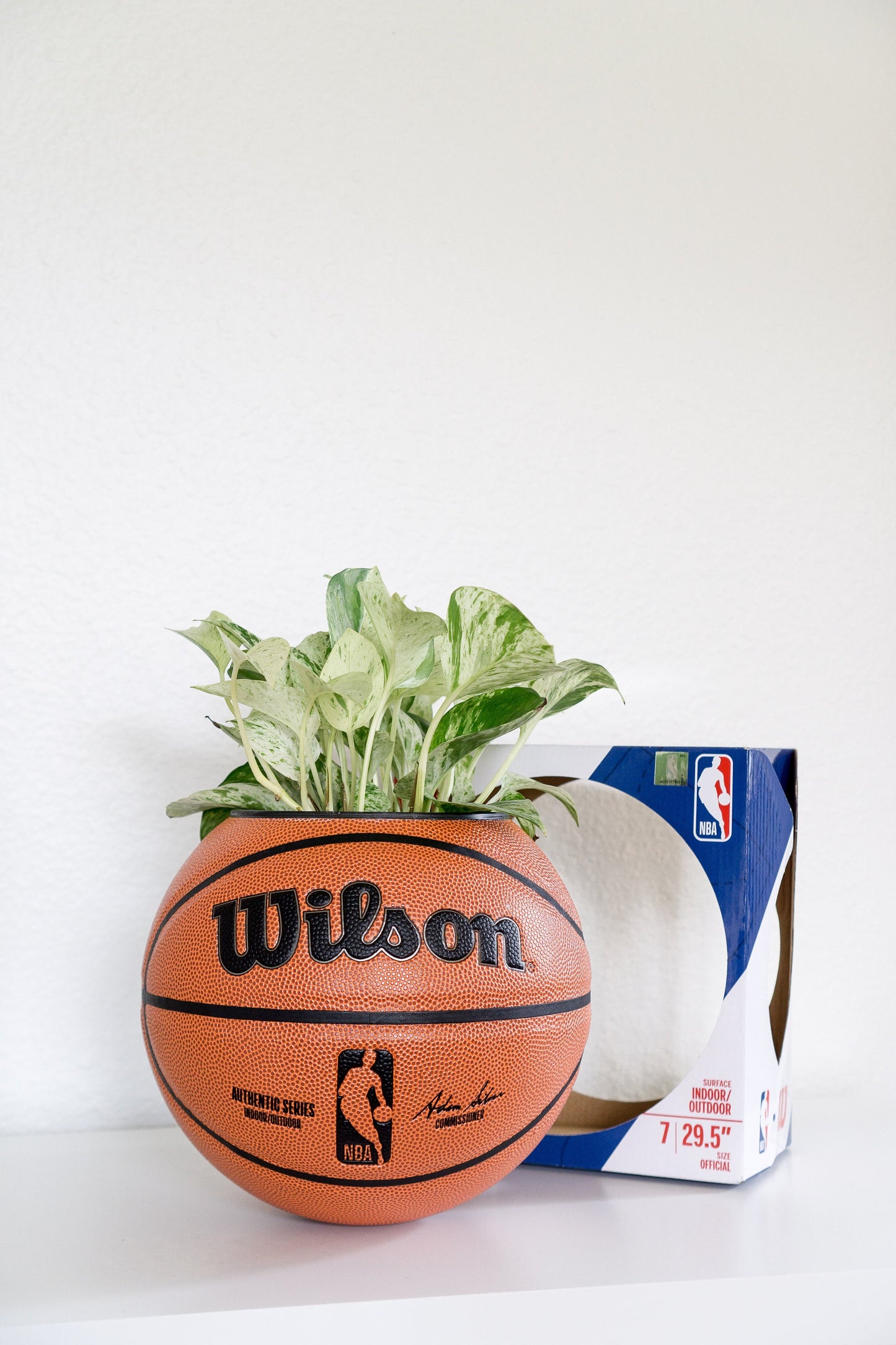 plntrs - Wilson NBA Authentic Basketball Planter - new ball with stand (full size)