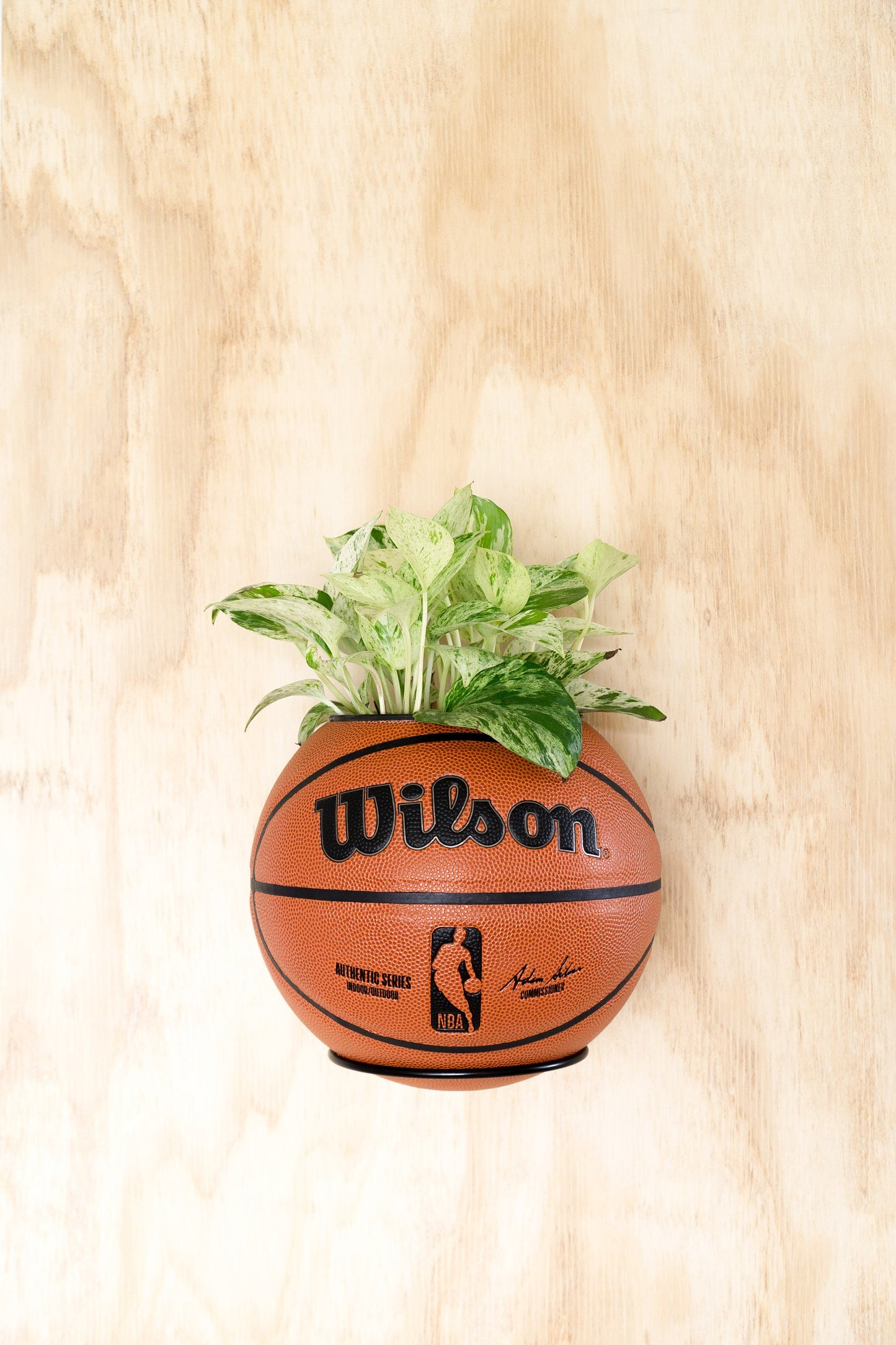 plntrs - Wilson NBA Authentic Basketball Planter - new ball with stand (full size)