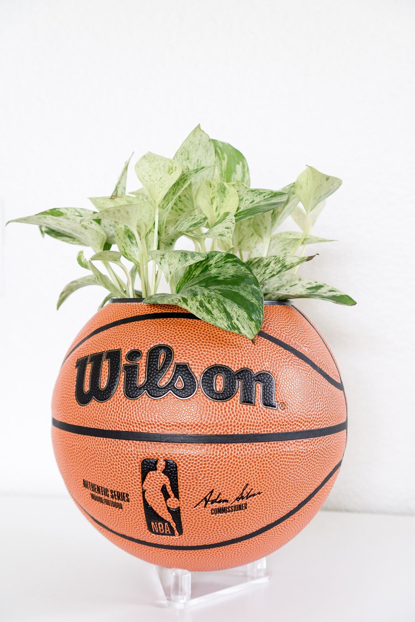 plntrs - Wilson NBA Authentic Basketball Planter - new ball with stand (full size)