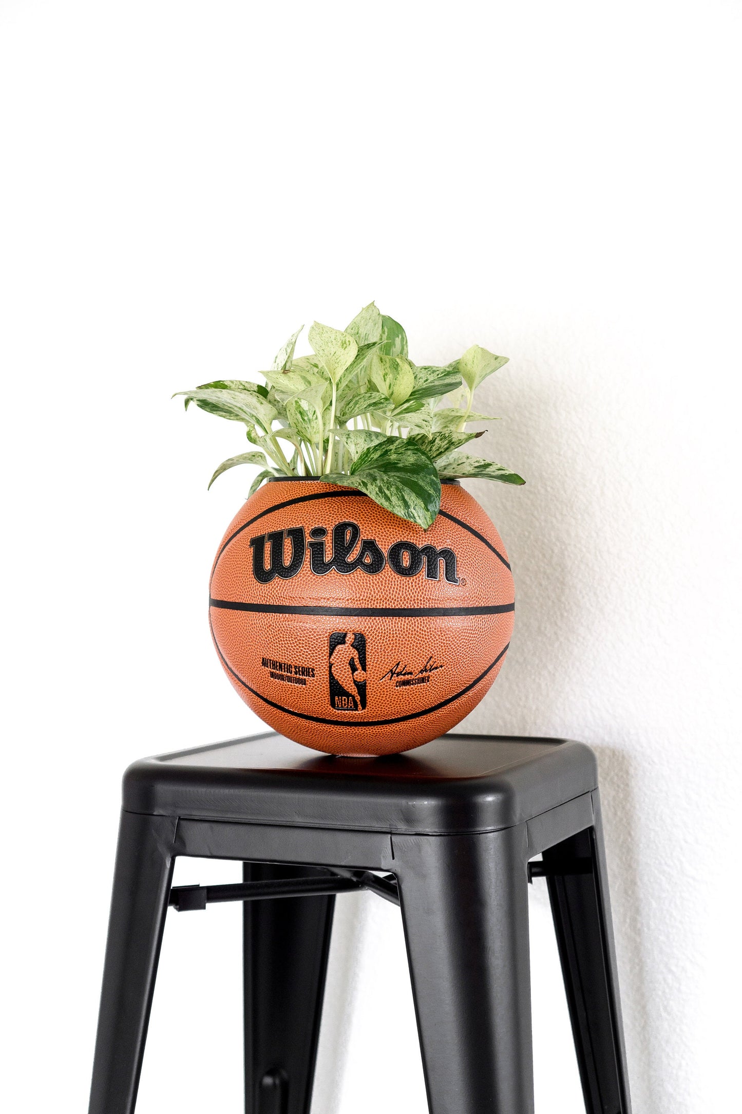 plntrs - Wilson NBA Authentic Basketball Planter - new ball with stand (full size)