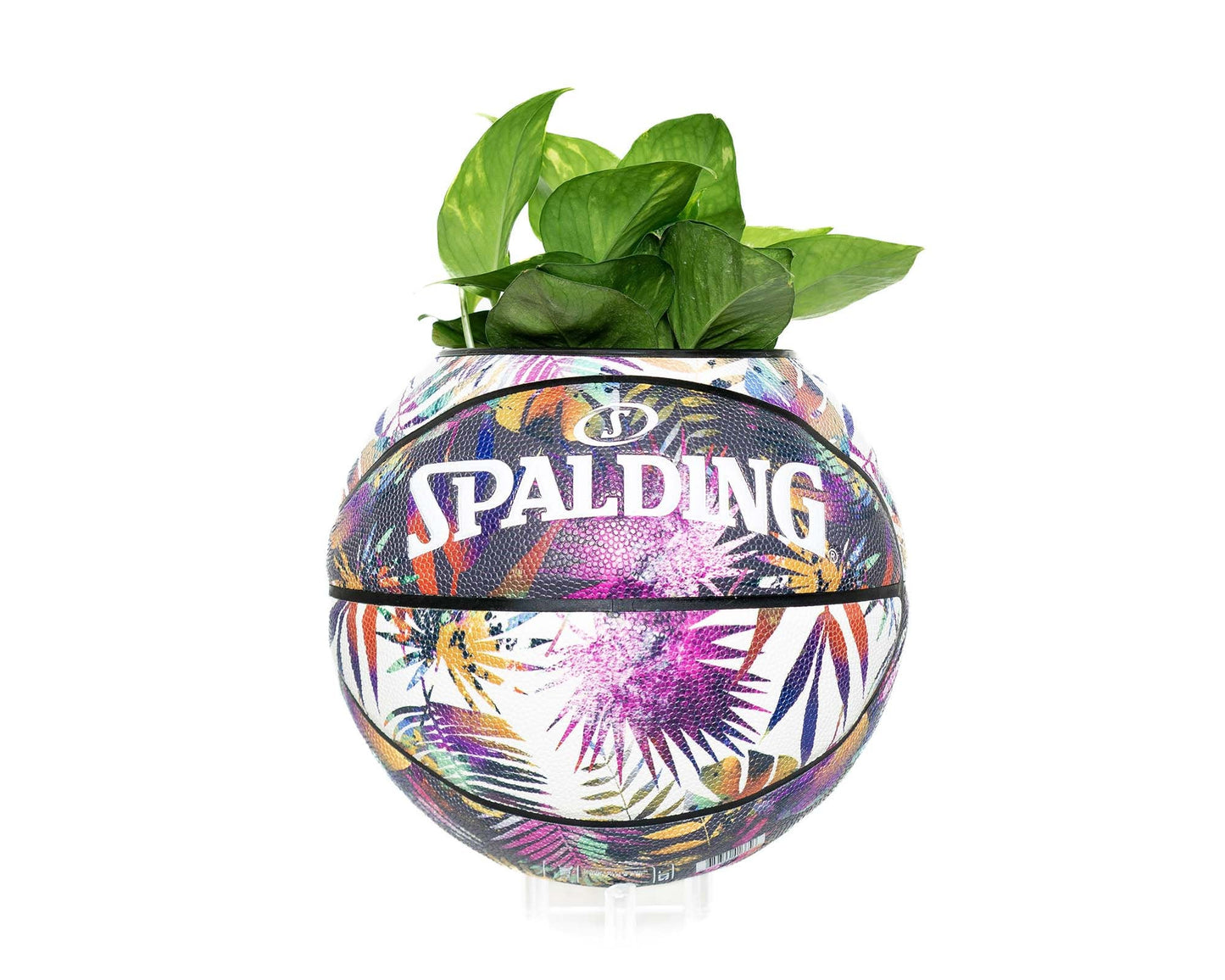 plntrs - Spalding Botanical Tropical Basketball Planter FULL SIZE - new ball with stand