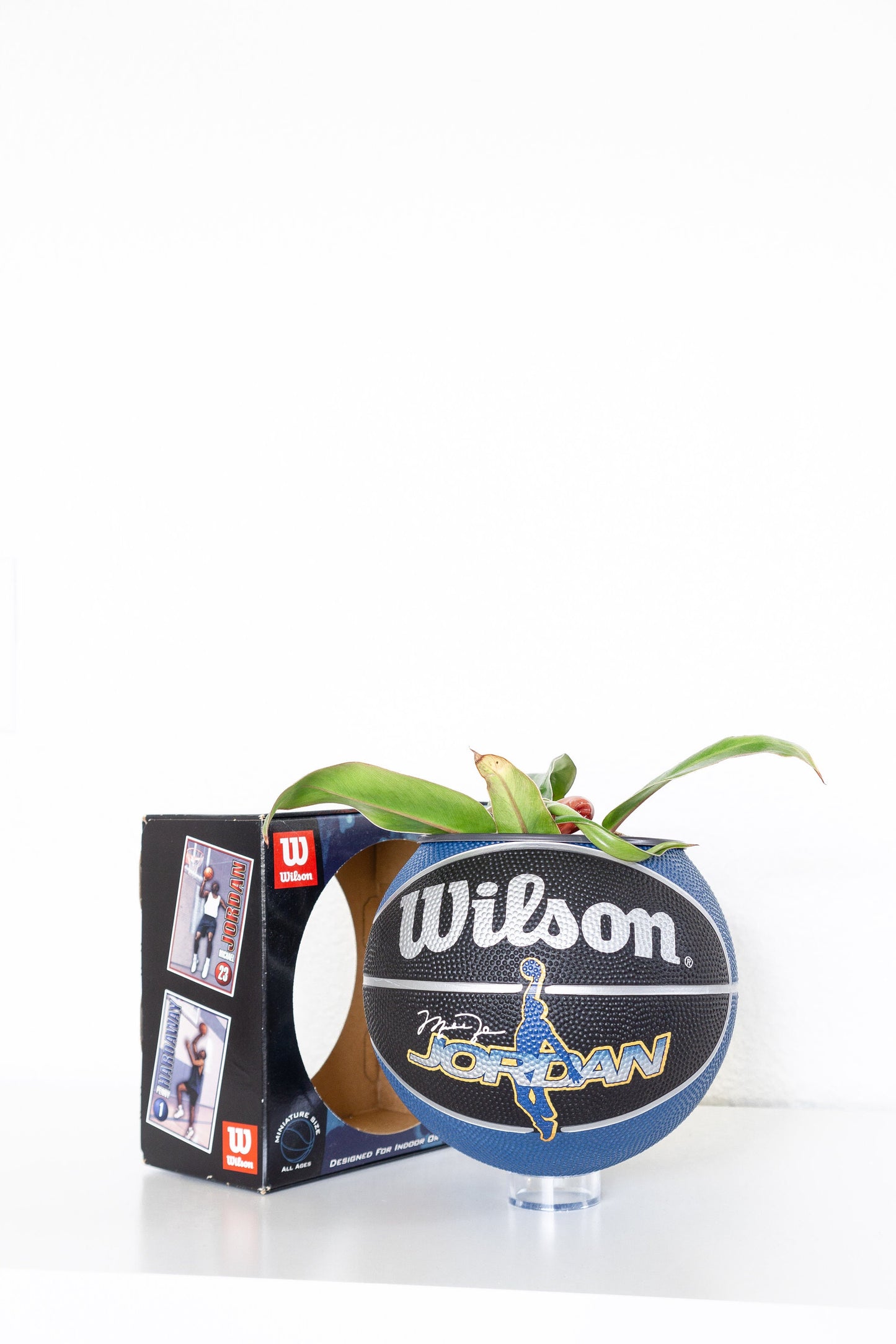 plntrs - Jordan Vintage Mini Basketball Planter - new ball with stand
