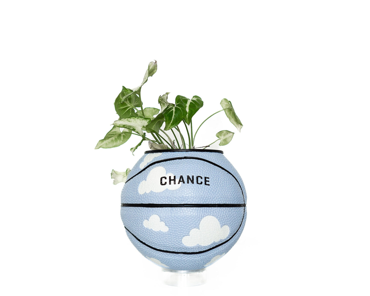 plntrs - Chance Clouds Mini Basketball Planter - new ball with stand
