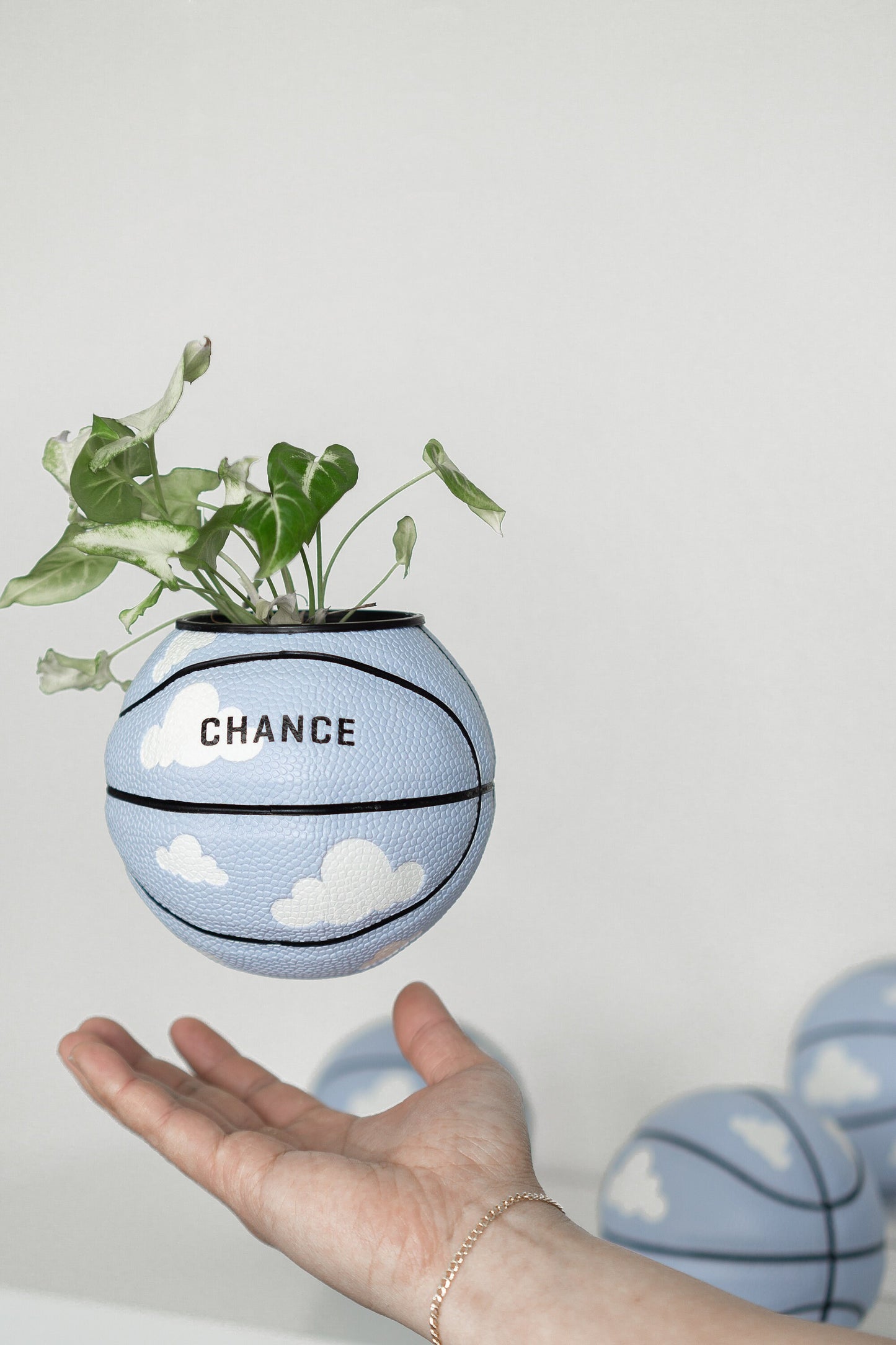plntrs - Chance Clouds Mini Basketball Planter - new ball with stand