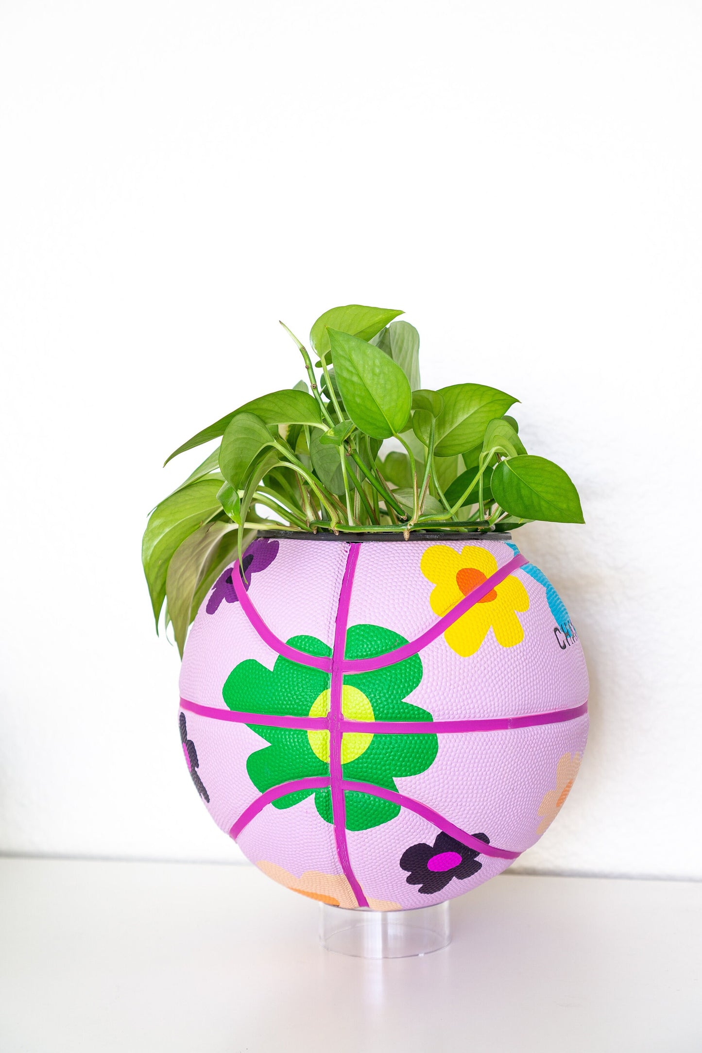 plntrs - Chance Bloom Limited Edition Basketball Planter with stand (full size)