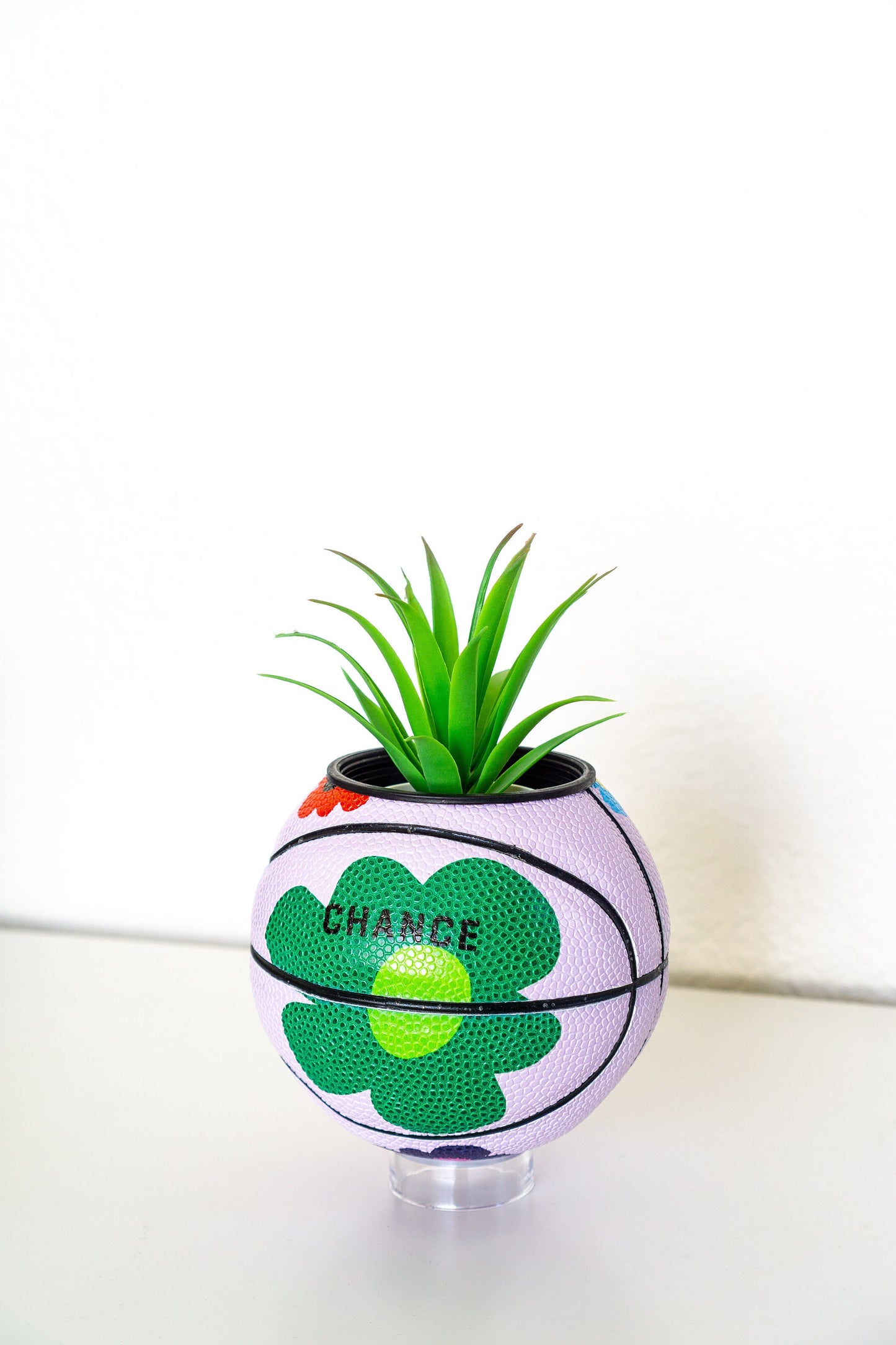 plntrs - Chance Bloom Mini Basketball Planter - new ball with stand