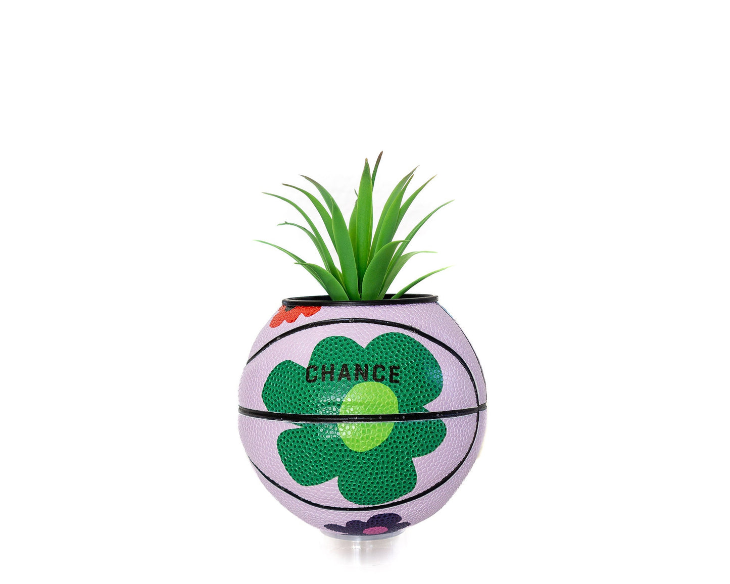 plntrs - Chance Bloom Mini Basketball Planter - new ball with stand