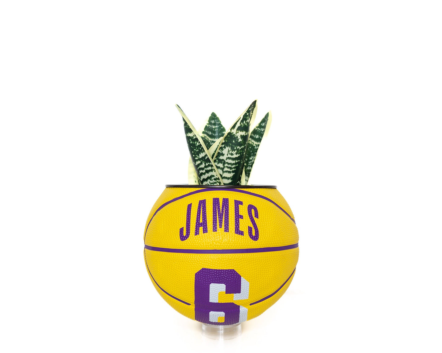 plntrs - LeBron James Lakers Mini Basketball Planter - new ball with stand