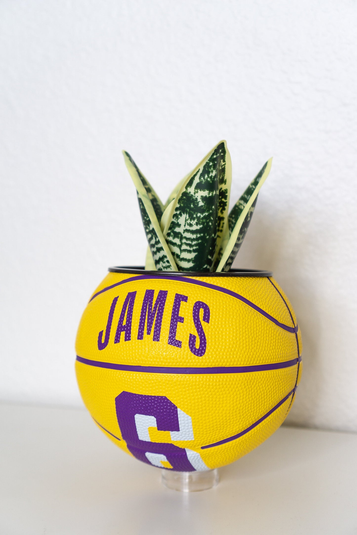 plntrs - LeBron James Lakers Mini Basketball Planter - new ball with stand