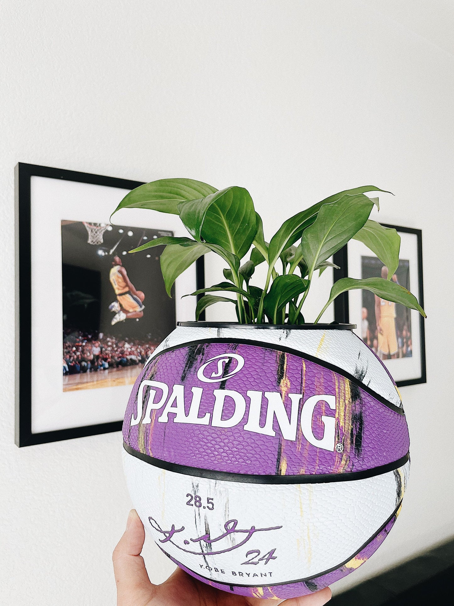 plntrs - Kobe Bryant Marble Basketball Planter Purple with stand