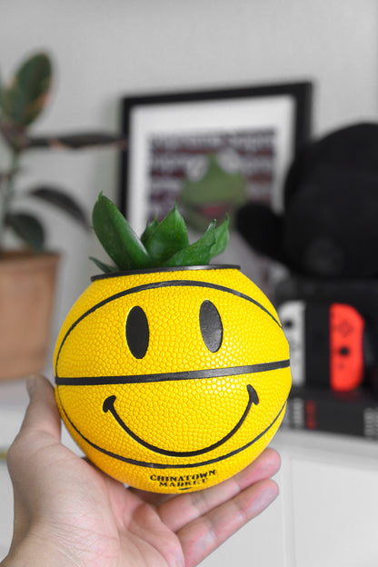 plntrs - Chinatown Market Smiley Face Mini Basketball Planter - new ball with stand
