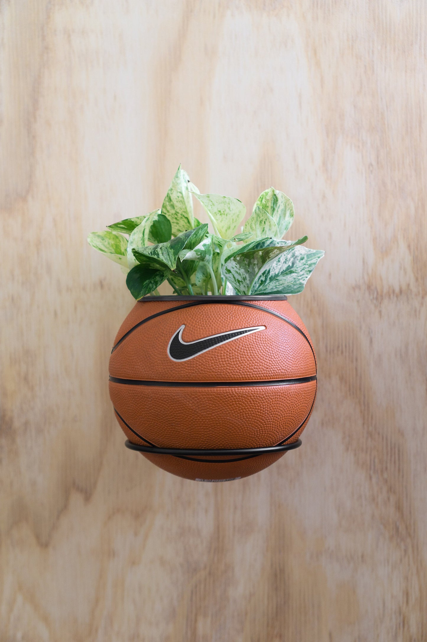 plntrs - Nike Royal Blue/Yellow Swoosh Mini Basketball Planter - new ball with stand