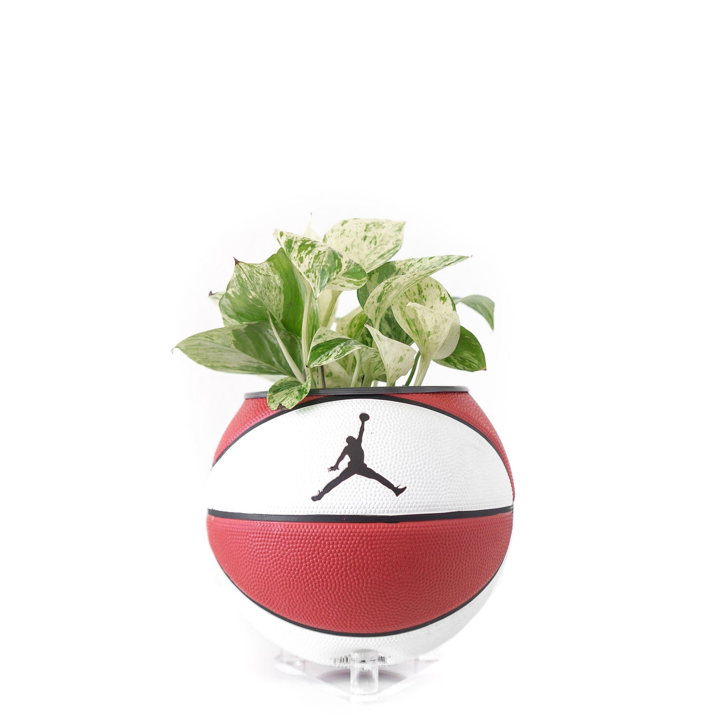 plntrs - Jordan Skills Mini Basketball Planter with stand