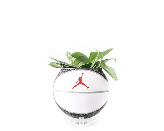 plntrs - Jordan Premium Wings Elephant Print Mini Basketball Planter with stand