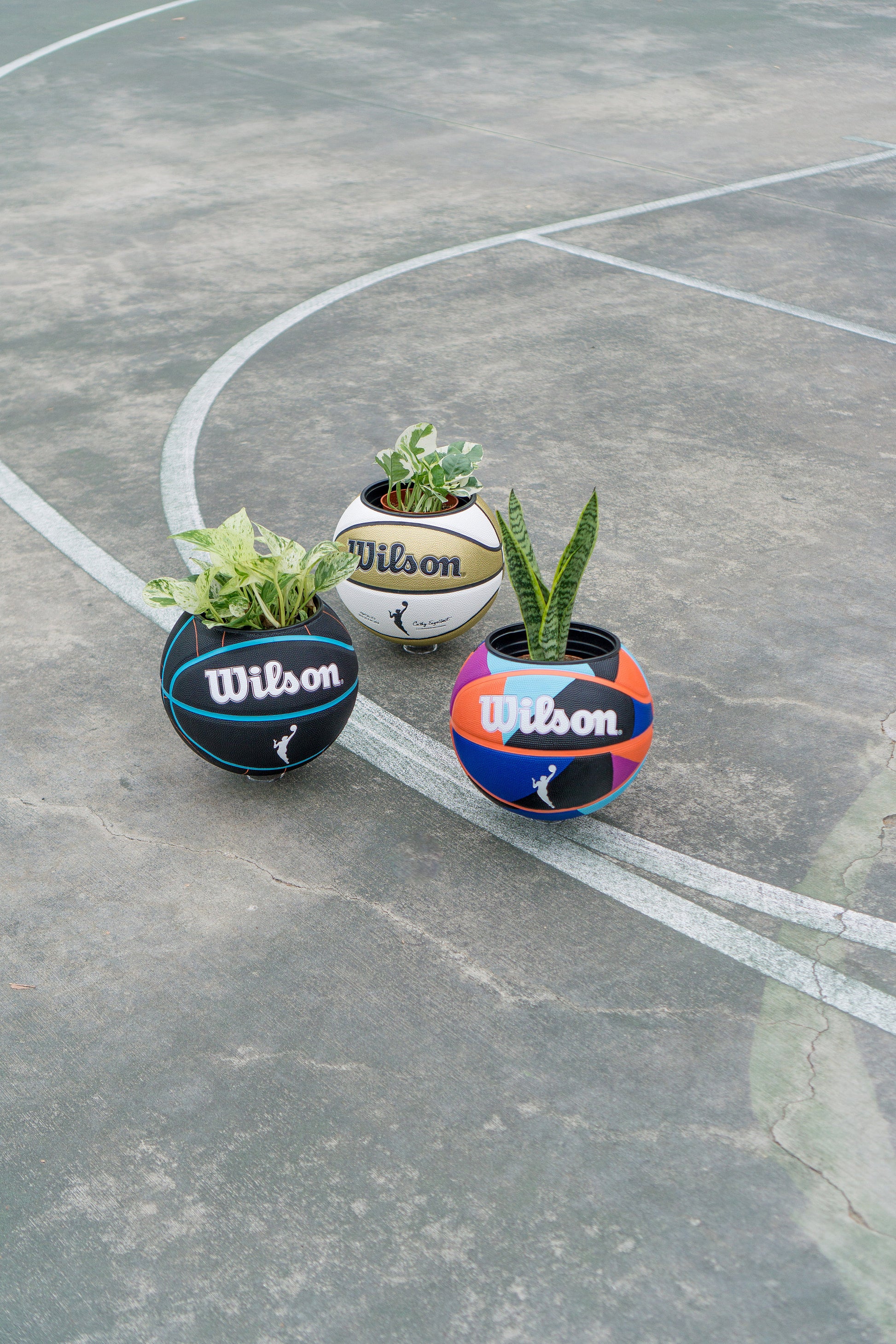 plntrs - WNBA Wilson HEIR Basketball Planter - new ball with stand