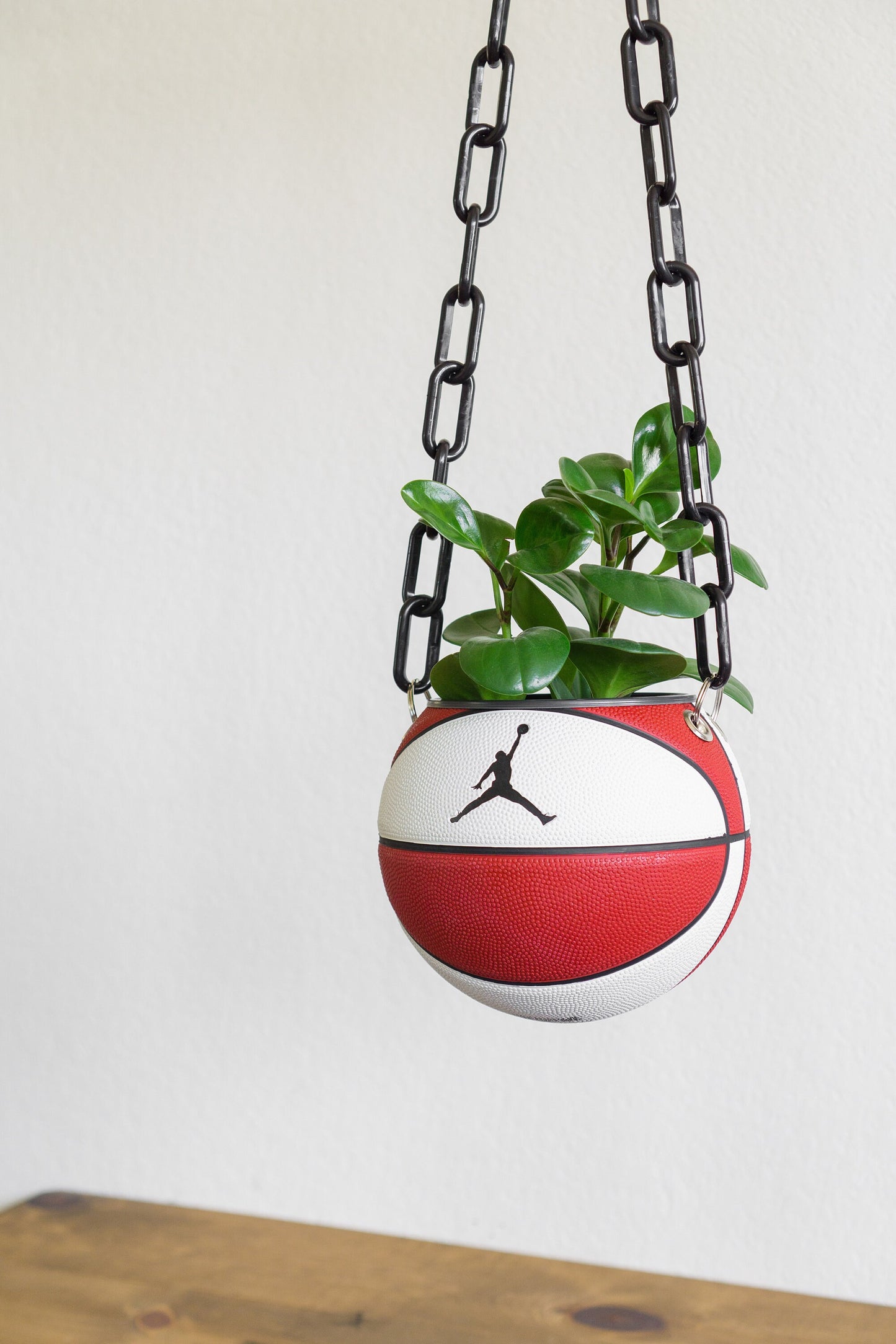 plntrs - Jordan Skills Mini Basketball Hanging Planter - new ball with chain