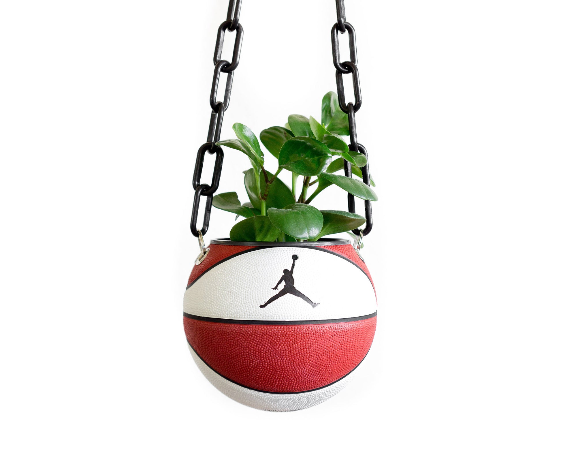 plntrs - Jordan Skills Mini Basketball Hanging Planter - new ball with chain