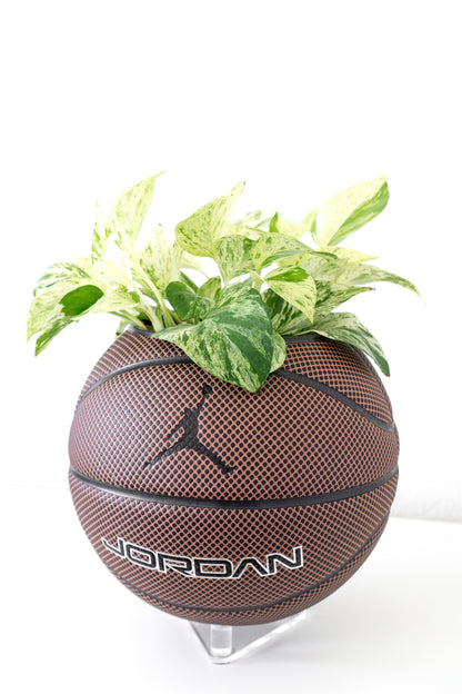 plntrs - Jordan Legacy Basketball Planter FULL SIZE - new ball with stand