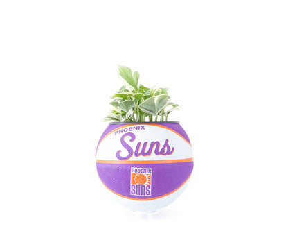 plntrs - Wilson Phoenix Suns Hardcourt Classic Mini Basketball Planter - new ball with stand