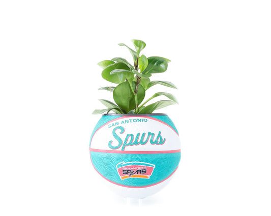 plntrs - Wilson San Antonio Spurs Hardcourt Classic Mini Basketball Planter - new ball with stand