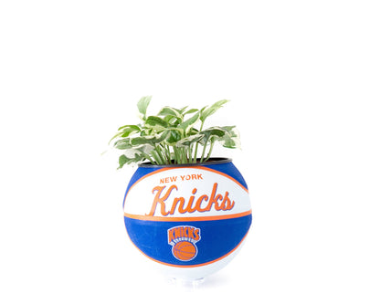 plntrs - Wilson New York Knicks Hardcourt Classic Mini Basketball Planter - new ball with stand