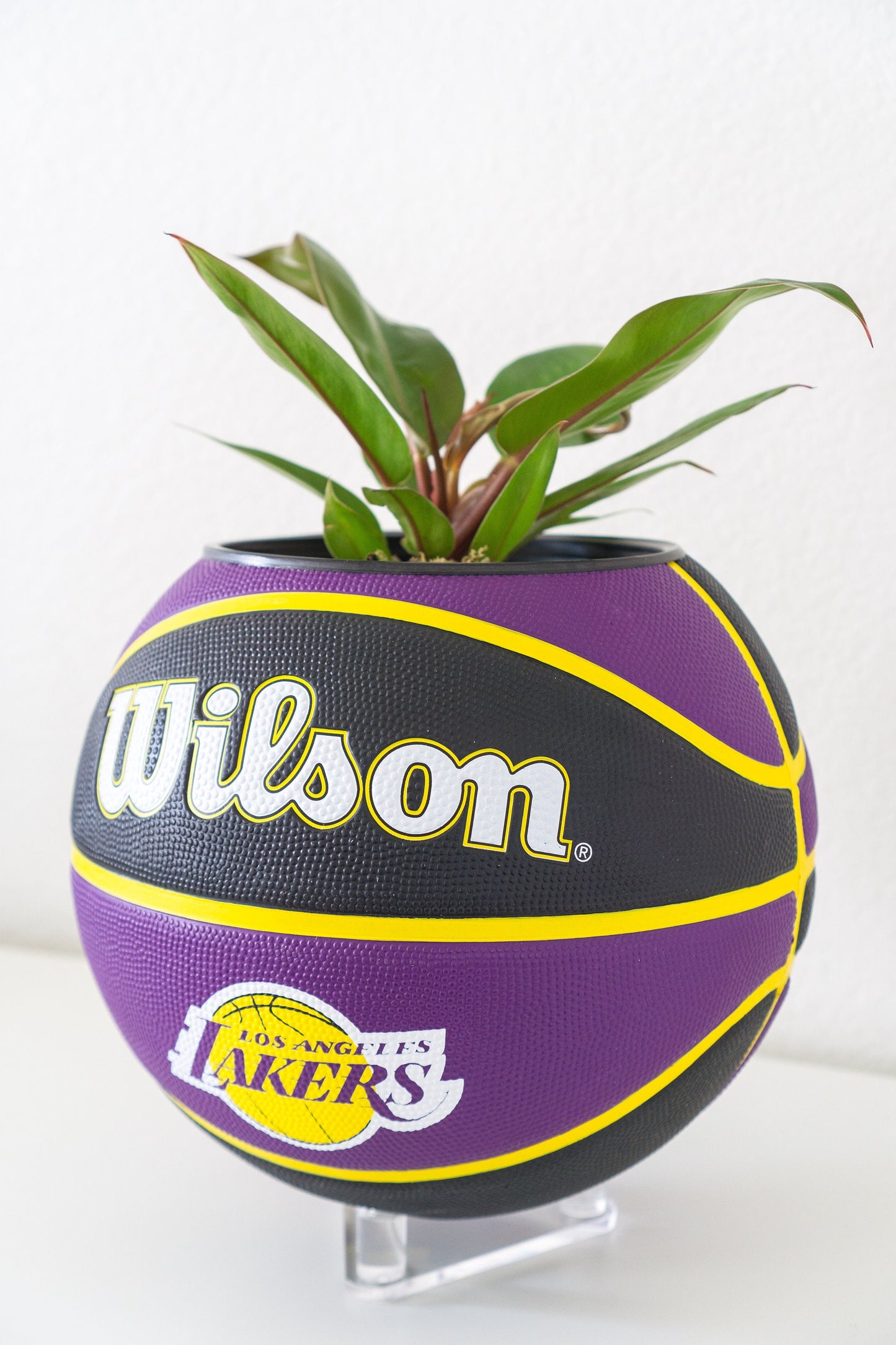 plntrs - NBA Wilson Los Angeles Lakers Tribute Basketball Planter - new ball with stand
