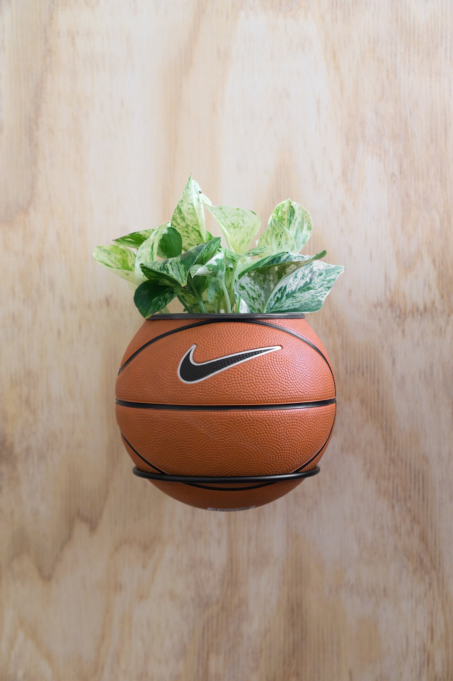 plntrs - Wilson Warriors Hardcourt Classic Mini Basketball Planter - new ball with stand
