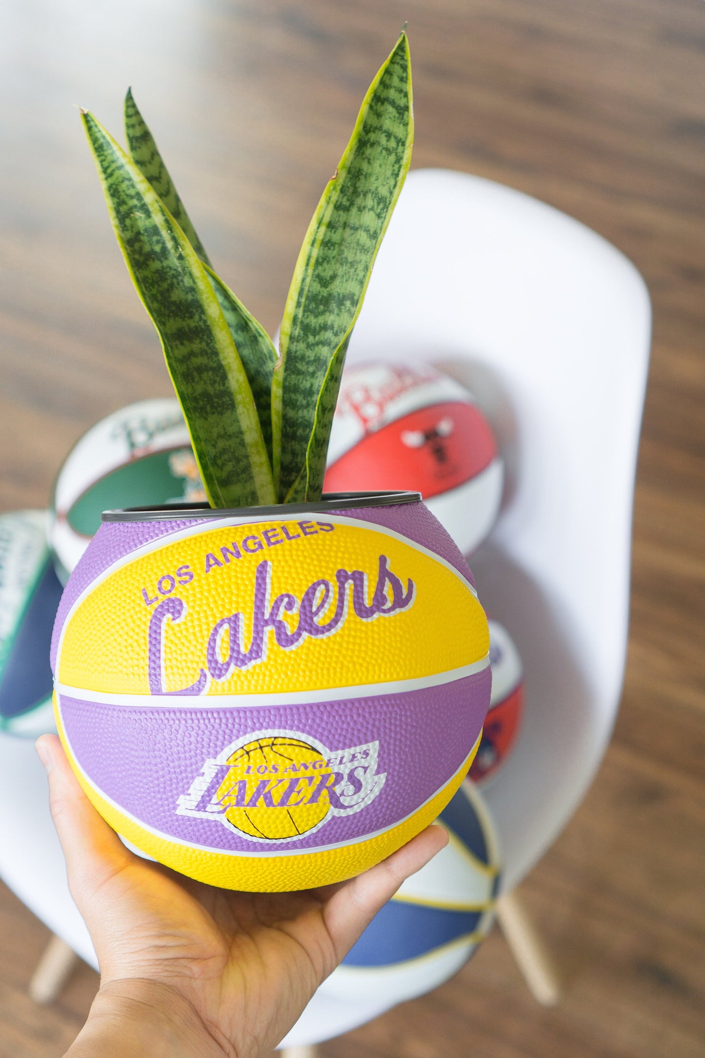 plntrs - Wilson Warriors Hardcourt Classic Mini Basketball Planter - new ball with stand