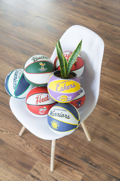plntrs - Wilson Warriors Hardcourt Classic Mini Basketball Planter - new ball with stand