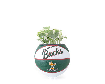 plntrs - Wilson Bucks Hardcourt Classic Mini Basketball Planter - new ball with stand