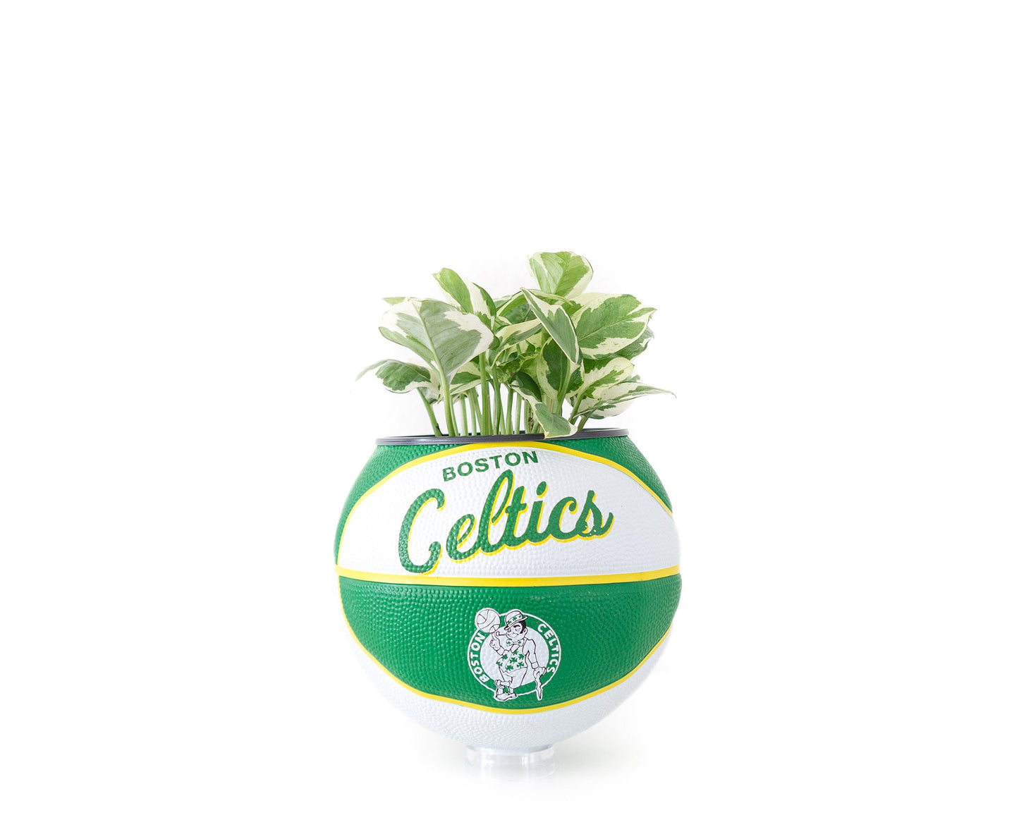 plntrs - Wilson Celtics Hardcourt Classic Mini Basketball Planter - new ball with stand