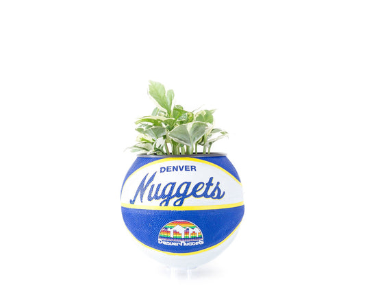 plntrs - Wilson Denver Nuggets Hardcourt Classic Mini Basketball Planter - new ball with stand