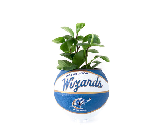 plntrs - Wilson Washington Wizards Hardcourt Classic Mini Basketball Planter - new ball with stand