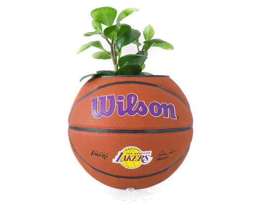 plntrs - NBA Wilson Los Angeles Lakers Team Alliance Basketball Planter - new ball with stand