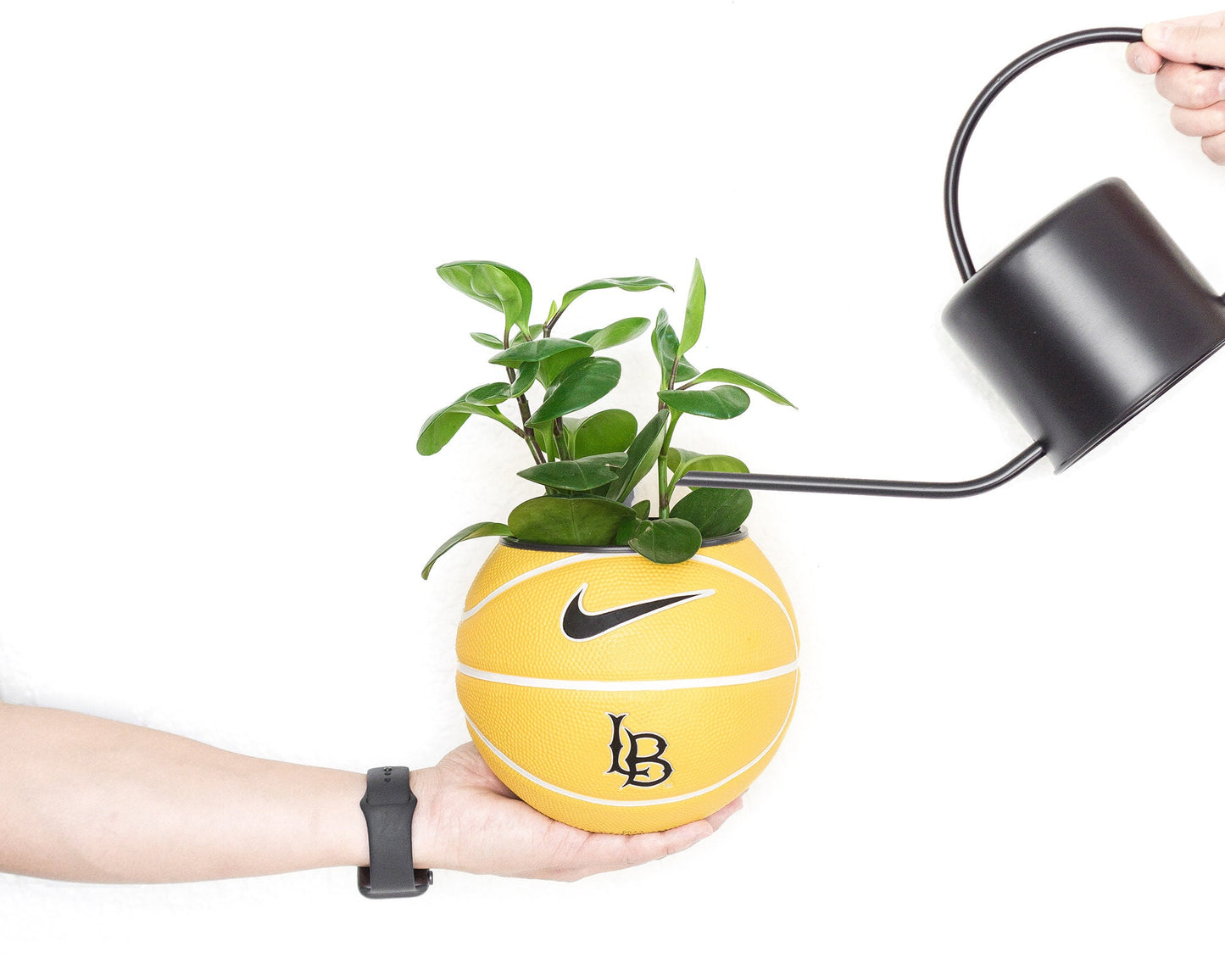 plntrs - Long Beach CSULB Nike BasketballClassic Mini Basketball Planter - new ball with stand