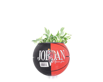 plntrs - Jordan Vintage Mini Basketball Planter - new ball with stand