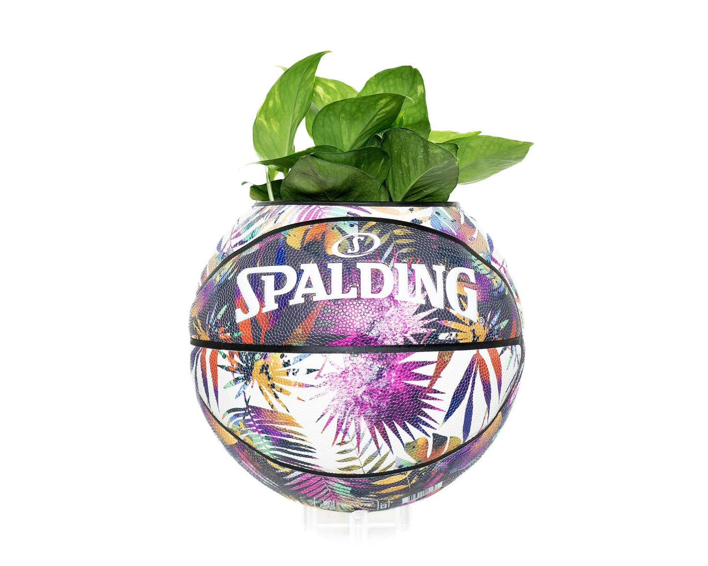 plntrs - Spalding Botanical Tropical Basketball Planter FULL SIZE - new ball with stand