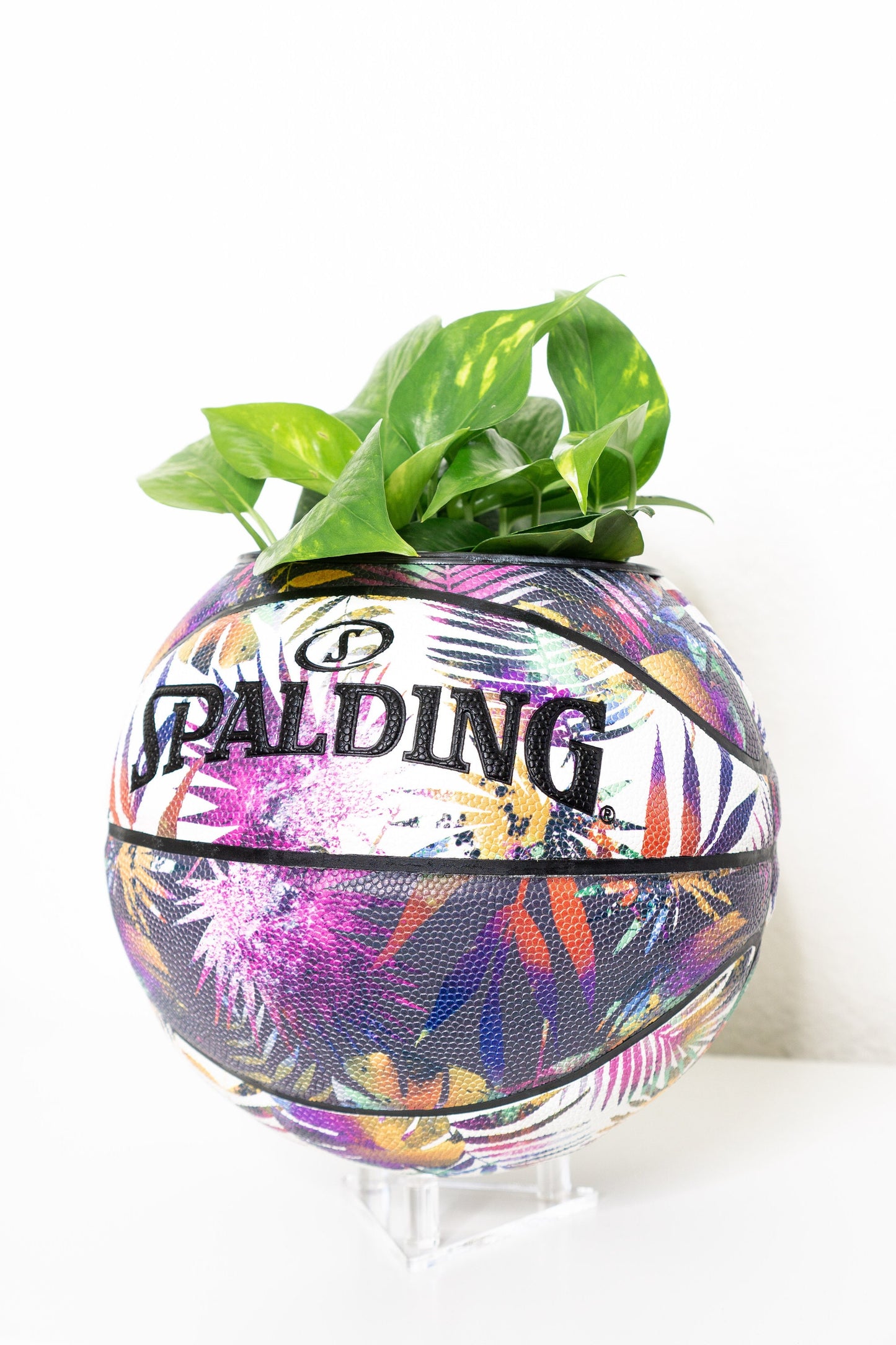 plntrs - Spalding Botanical Tropical Basketball Planter FULL SIZE - new ball with stand