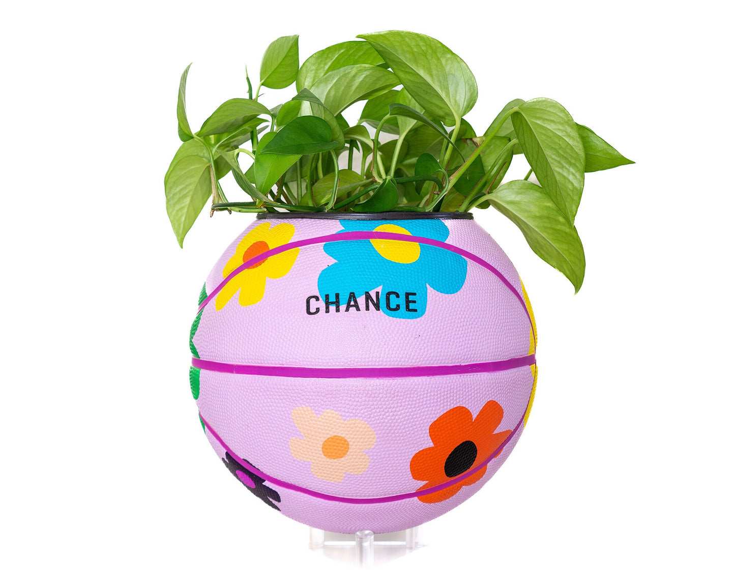 plntrs - Chance Bloom Limited Edition Basketball Planter with stand (full size)