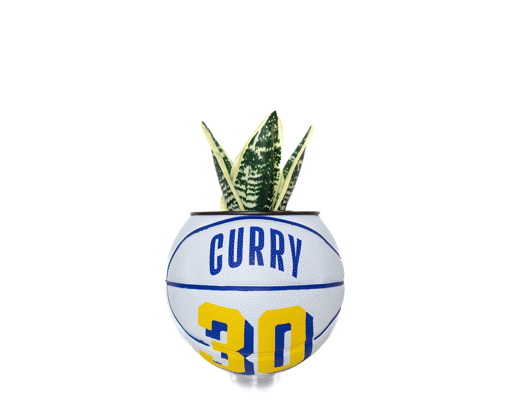 plntrs - Steph Curry Mini Basketball Planter - new ball with stand