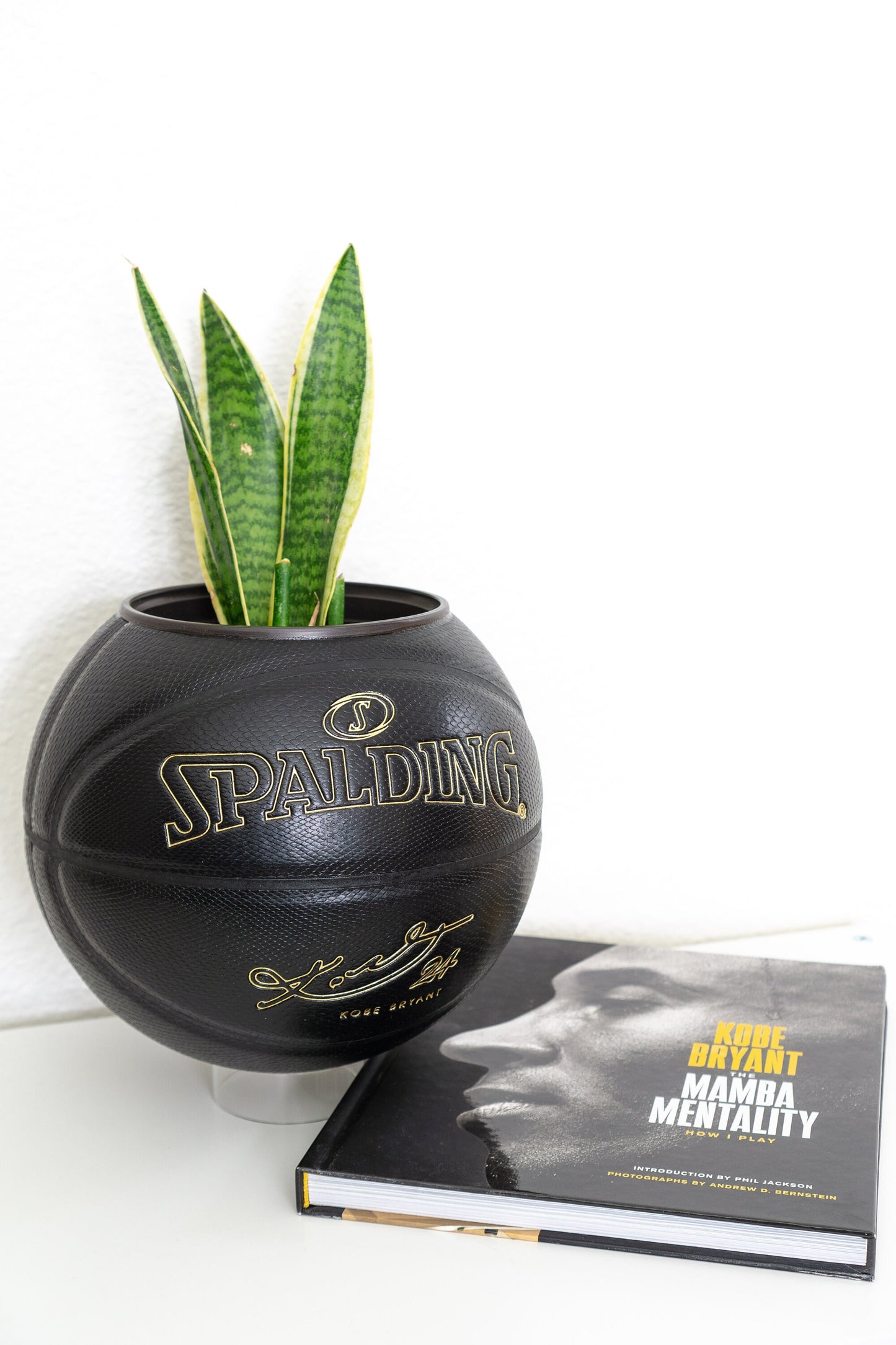 plntrs - Kobe Bryant Snake Black Mamba Basketball Planter with stand