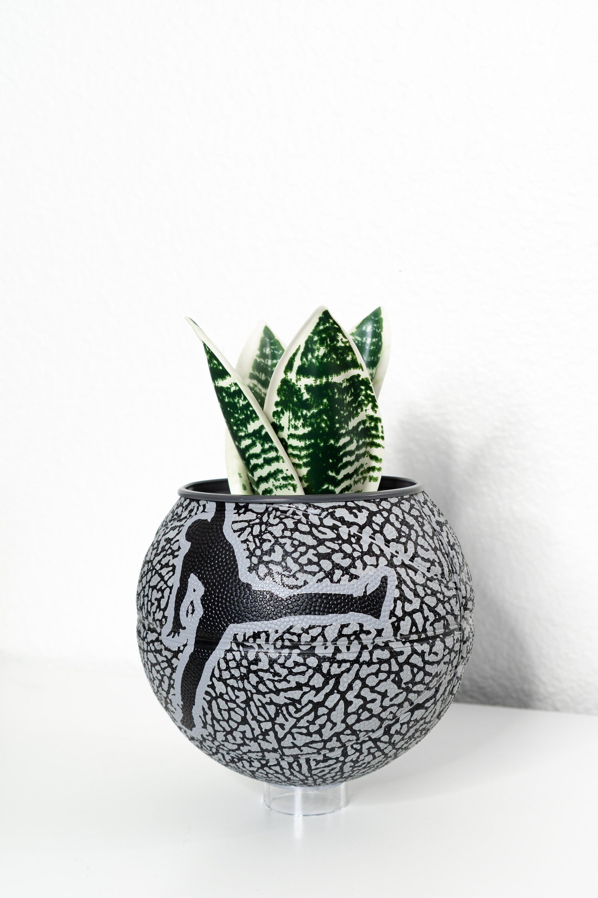 plntrs - Jordan Skills Elephant Print Mini Basketball Planter with stand